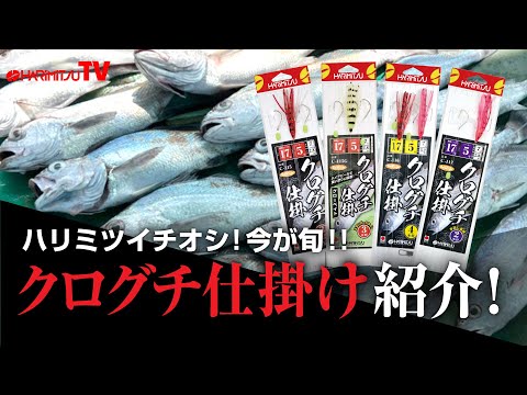 【ハリミツイチオシ】今が旬!クログチ仕掛けをご紹介!