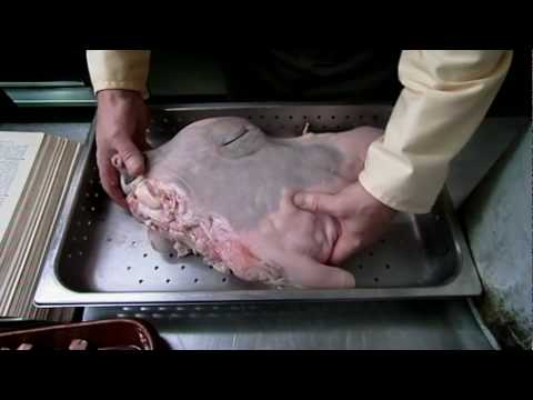 download lagu mp3 mp4 Mock Turtle Soup, download lagu Mock Turtle Soup gratis, unduh video klip Mock Turtle Soup