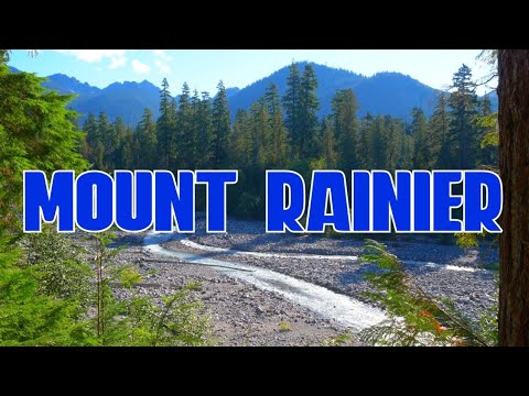 Mount Rainier National Park: Exploring Christine Falls & Narada Falls | WA