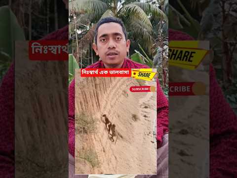 বিপদে পাশে দাঁড়ানো যে আসল মহত্ব- বনের প*শুরাও জানে ❤️#wildlife #humanity #mankey #saveanimals #reels