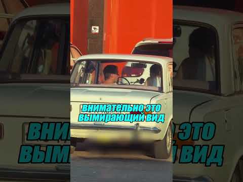 В целом он конечно прав 😤🧐😁 Inst: xcmcep