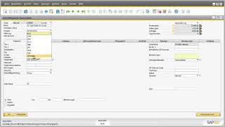 SAP Business One - Stammdaten (5/6) SAP Business One - Stammdaten (5/6)