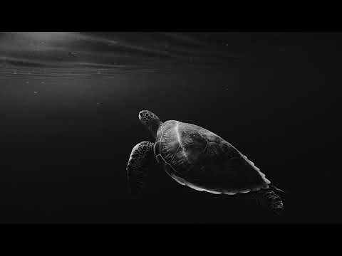 Satin Jackets feat. Niya Wells - Primordial (Extended Mix)