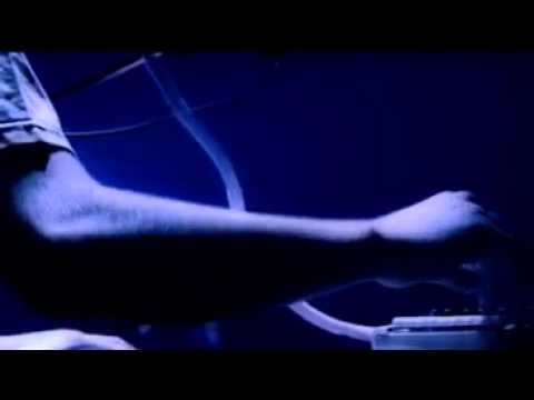 The Cat Empire - The Lost Song (Official Video)