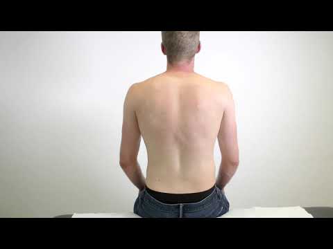 percussion of kidney