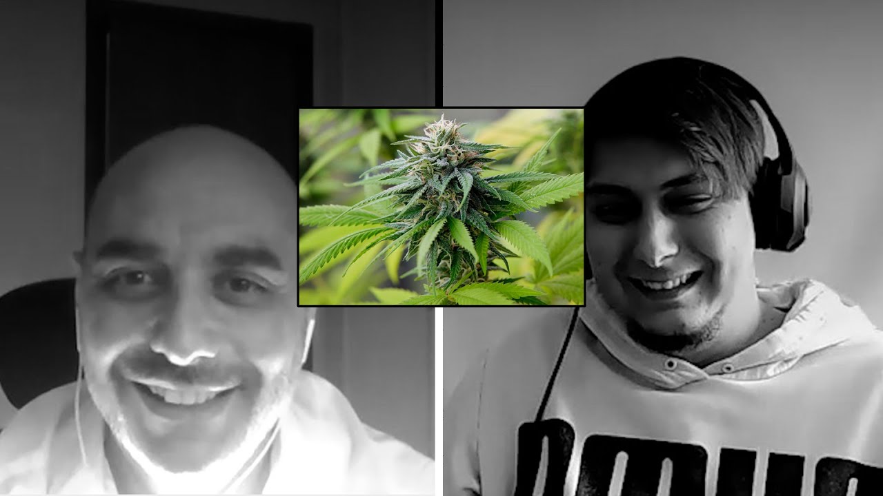 😱ABOGADO explica ¿Cuántas PLANTAS de MARIHUANA puedes tener en CASA😱
