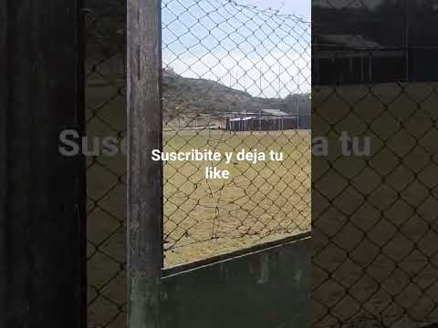La Adela Club Provincia de La Pampa