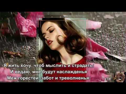 зимнее настроение  с прекрасной музыкой- Yello – Capri Calling