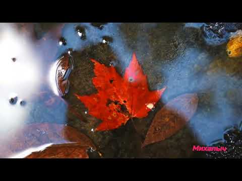 Arozin Sabyh - Beyond The Waves.