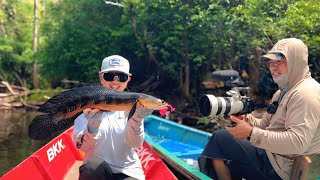 Download lagu January 3, 2026 mp3 Download lagu January 3, 2026 mp3