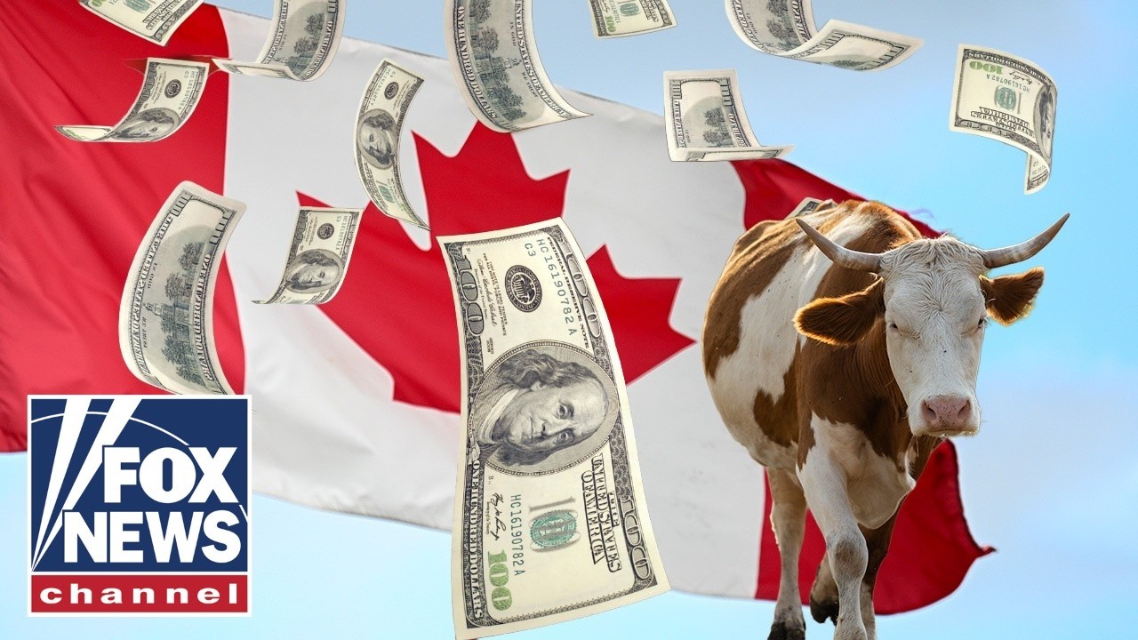 HOLY COW: US-Canada tariff war EXPLODES amid concerns of beef prices