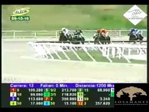 LA RINCONADA 12 CARRERA, DOMINGO 09 DE OCTUBRE DEL 2016