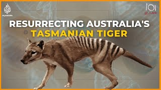 Back to life: Inside the ambitious project to resurrect Australia’s Tasmanian tiger | 101 East