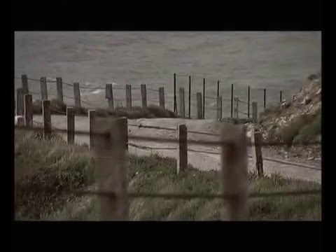 Duro de Roer video