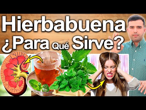 Peppermint Tea: What Is It Good For? - Benefits of Peppermint for Your Health and Beauty