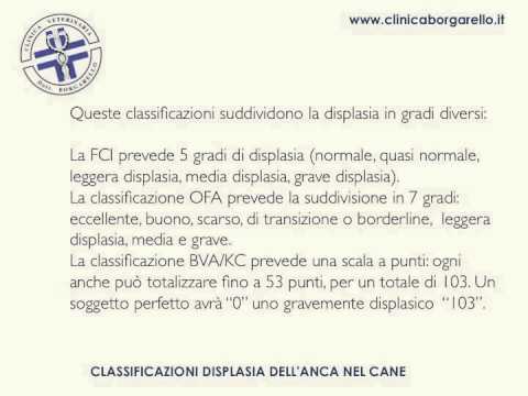 Gradino deformazione della colonna cervicale it Scoliosi della colonna vertebrale toracica 1 grado