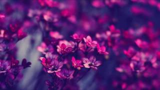 &amp;quot;Gamez - Bei Maejor ft. Keri Hilson &amp;quot; Fan Video