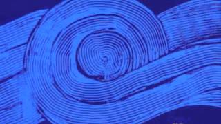 Terry Riley-Persian Surgery Dervishes Los Angeles Part 1