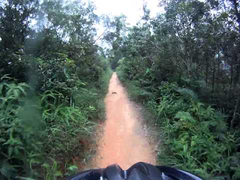 cover-youtube