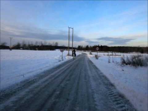 Kondis trening med Ponnisen