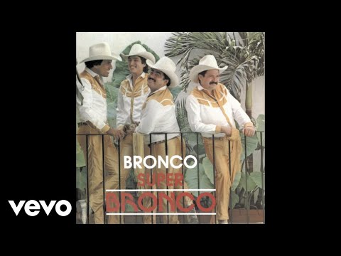 Bronco - No Nací para Rogar (Cover Audio)
