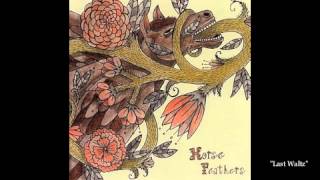 Horse Feathers - 
