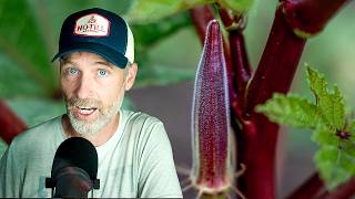 When Things Must Die so The Garden Shall Live + The Okra Show