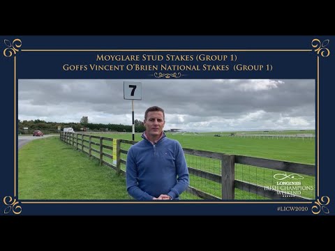 Moyglare Stud Stakes & Goffs Vincent O'Brien National Stakes Course