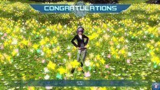 ソロ花　Hr