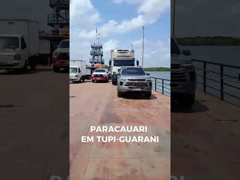 TRAVESSIA DE BALSA DE SOURE À SALVATERRA   #balsa #ilhademarajo #marajó #soure #salvaterra #pará