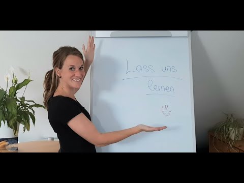 Lernvideo 18: Schizophrenie Teil 1/3 (Ursachen - Symptome - Verlauf)