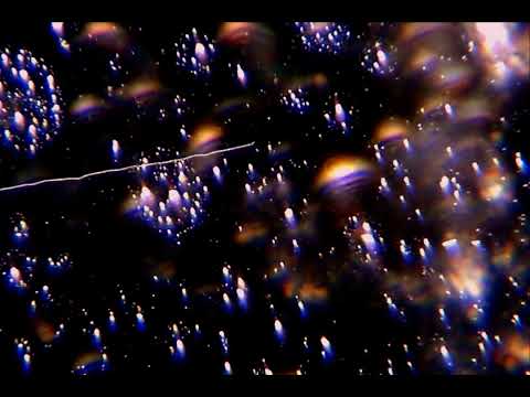 2022-08-07 Microcosmic Gazing