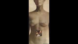 The Peddlers - Little Red Rooster