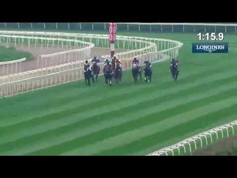 2017 Chengdu Dubai International Cup 成都迪拜国际杯