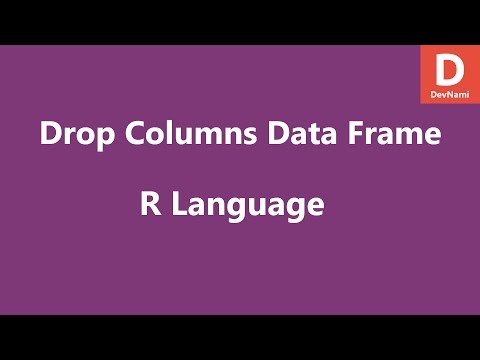 Read CSV File in R