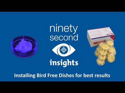 a 90 Second Insight video - Installing Bird Free Dishes for best results