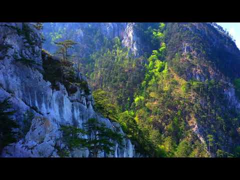 Parcul Național Domogled - Valea Cernei: Filmare aeriană peste Cheile Țăsnei și Munții Domogled