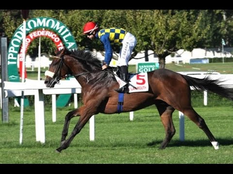 Premio Federico Tesio 2015 (Gr. 2)  DYLAN MOUTH Fabio Branca