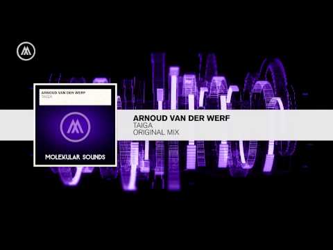 Arnoud van der Werf - Taiga (Original Mix) Molekular / RNM