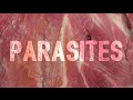 Parasites by Ugly Casanova (Lyrics)