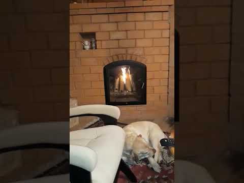 Видео о дверце камина 2