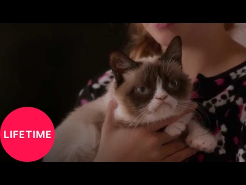 Grumpy Cat's Worst Christmas Ever (Trailer)