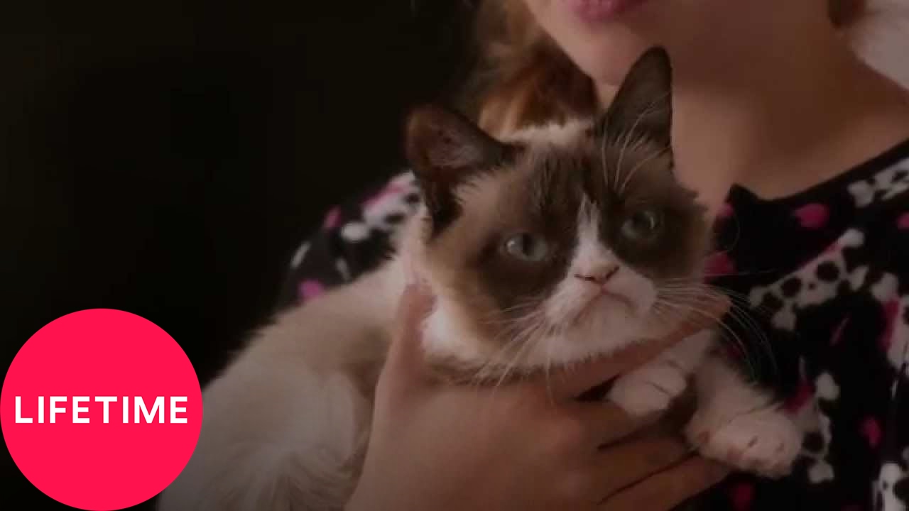 Grumpy Cat's Worst Christmas Ever | Lifetime - YouTube