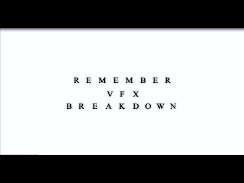 Remember VFX Breakdown // Lions Picutes