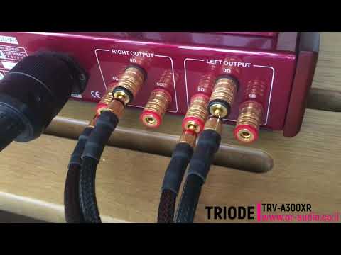 Triode  300B -  A class single ended integrated amplifier