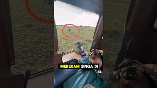 Download lagu Risiko fotografer di padang savana afrika 😱 #shorts #shortvideo #youtubeshorts mp3