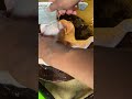 Amazing Cut Cuttingchicken Videoshort