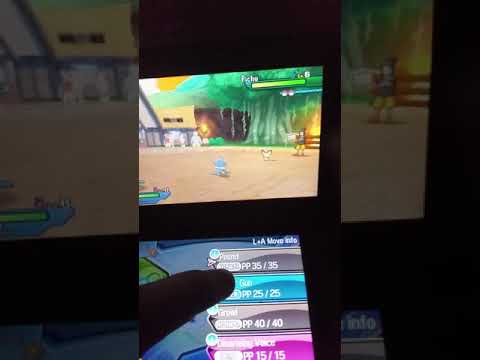 Giving hau a Brooklyn beating