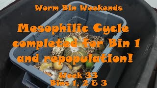 Worm Bin Weekends! Week 33 - Bins 1, 2 & 3: Mesophilic Cycle completed for Bin 1 and repopulation!