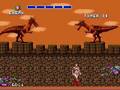 Golden Axe Tyris Flare The Duel